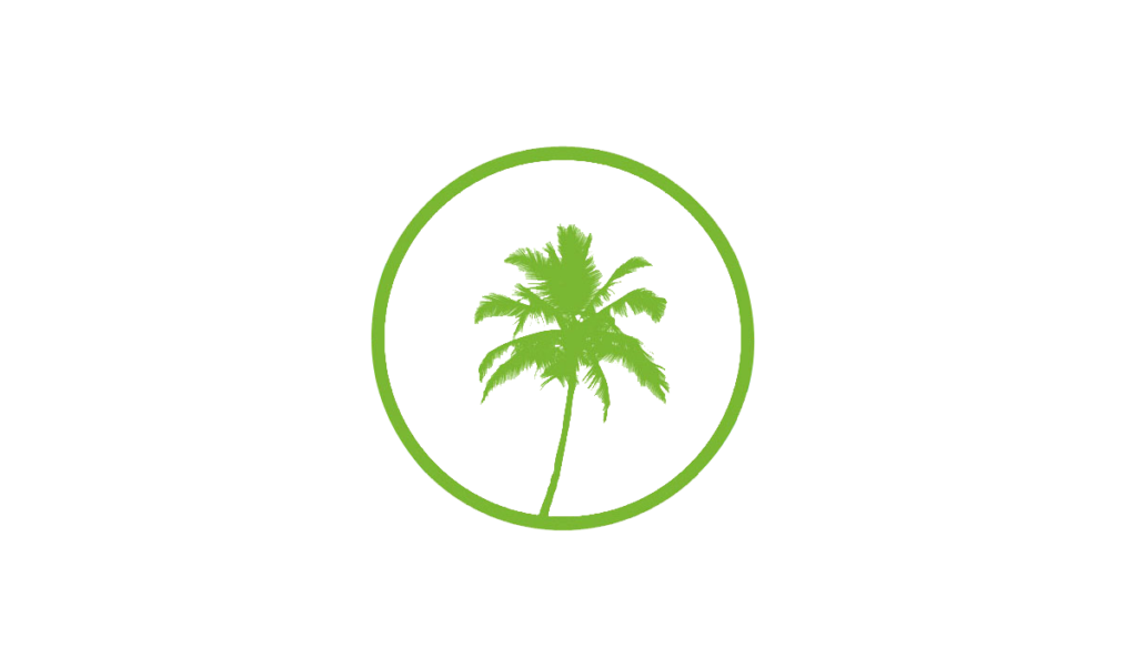Florida Keys coastal aviation scene with open blue water
